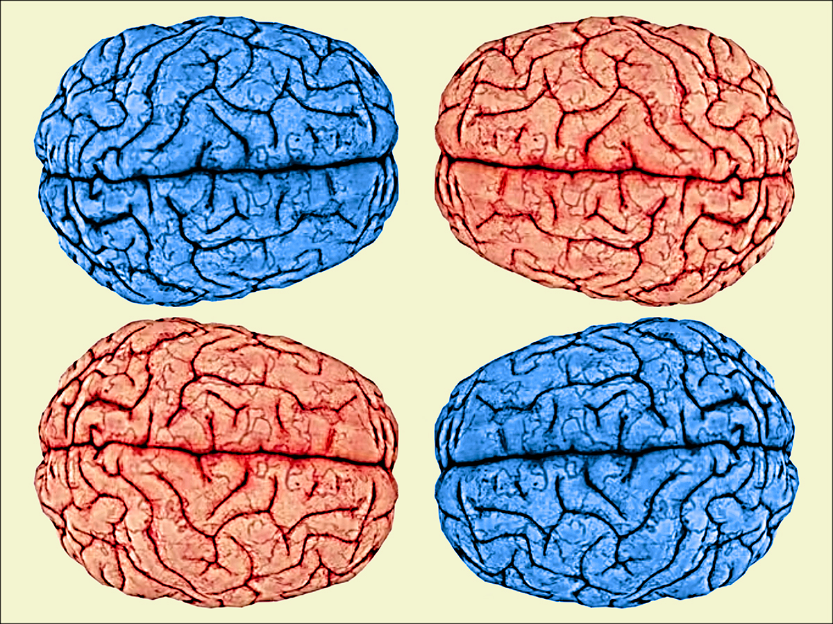 Photograph &copy;Richard Alan Fox all rights reserved